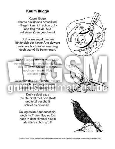 Amselgedicht-Kaum-Flügge-Ausmalbild.pdf